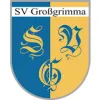 JSG Großgrimma / Teuchern / Nessa