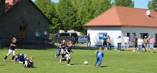 06.05.2018 SV Großgräfendorf vs. Hallescher FC