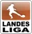 22 A-Junioren, Landesliga, Staffel 6