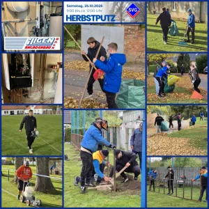 🔧🧰 Instandsetzungsarbeiten & Herbstputz🍁🍂🧹