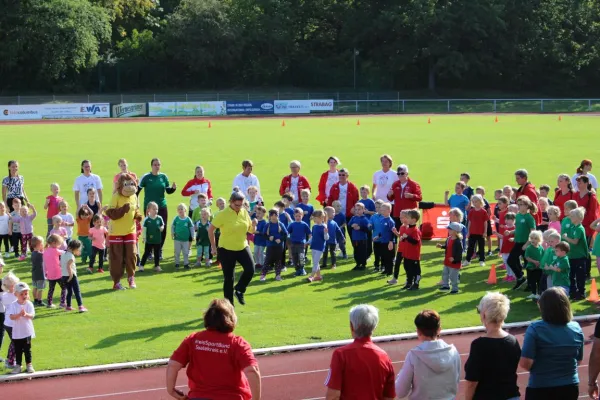 Sportfest Minikids 2019 in Braunsbedra