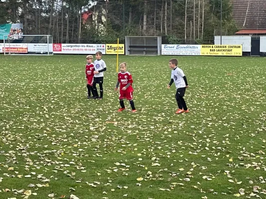 05.11.2023 SV Großgräfendorf vs. SV TuRa Beesenstedt