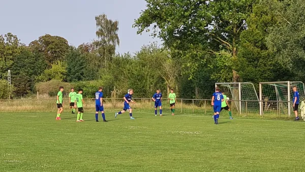 31.07.2024 SV Merseburg 99 vs. SV Großgräfendorf