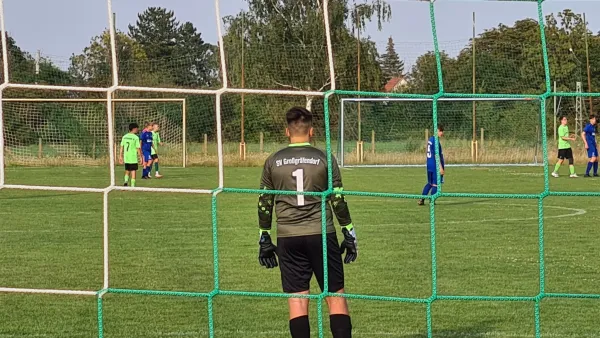 31.07.2024 SV Merseburg 99 vs. SV Großgräfendorf