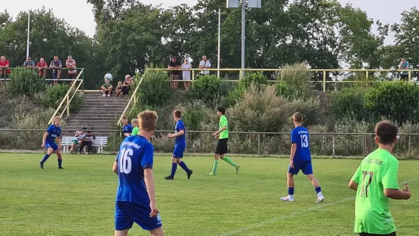 31.07.2024 SV Merseburg 99 vs. SV Großgräfendorf