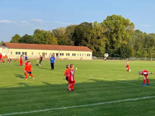 19.08.2024 VfL Querfurt 1980 vs. SV Großgräfendorf II