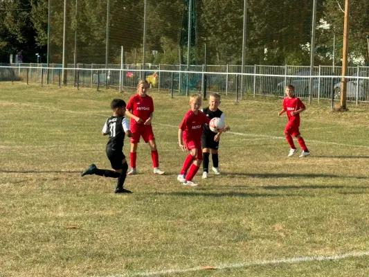 01.09.2024 JEG HETZ II vs. SV Großgräfendorf