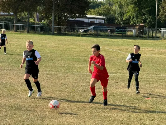 01.09.2024 JEG HETZ II vs. SV Großgräfendorf