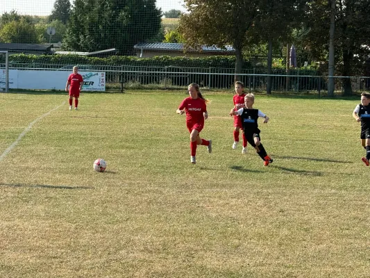 01.09.2024 JEG HETZ II vs. SV Großgräfendorf