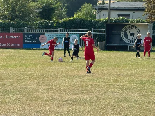 01.09.2024 JEG HETZ II vs. SV Großgräfendorf