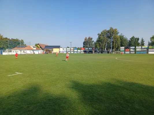 01.09.2024 SV BW Farnstädt vs. SV Großgräfendorf II