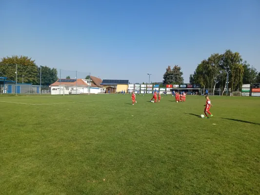 01.09.2024 SV BW Farnstädt vs. SV Großgräfendorf II