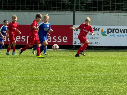 07.09.2024 SV Großgräfendorf vs. SV BW Farnstädt