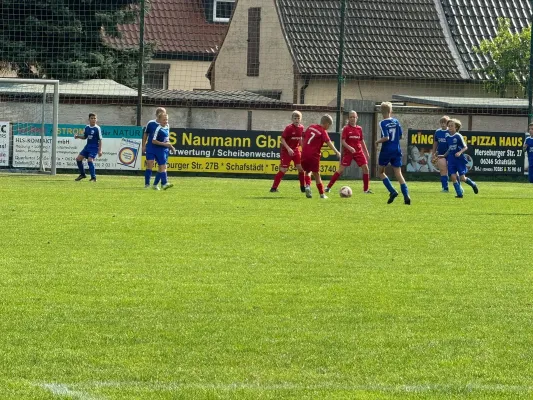 07.09.2024 SV Großgräfendorf vs. SV BW Farnstädt