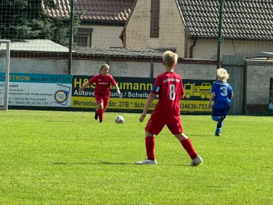 07.09.2024 SV Großgräfendorf vs. SV BW Farnstädt