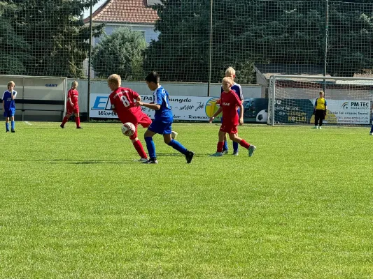 07.09.2024 SV Großgräfendorf vs. SV BW Farnstädt