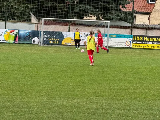 13.09.2024 SV Großgräfendorf vs. SV Großgräfendorf II