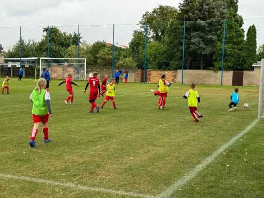 13.09.2024 SV Großgräfendorf vs. SV Großgräfendorf II