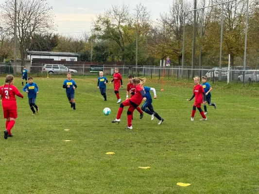 27.10.2024 JEG HETZ vs. SV Großgräfendorf