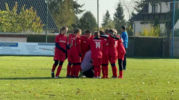 03.11.2024 SV Großgräfendorf vs. JEG HETZ II