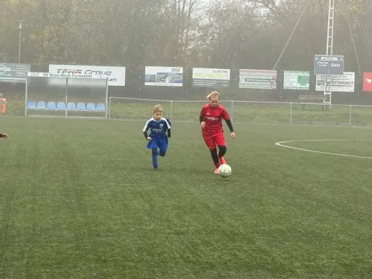 09.11.2024 SV BW Farnstädt vs. SV Großgräfendorf