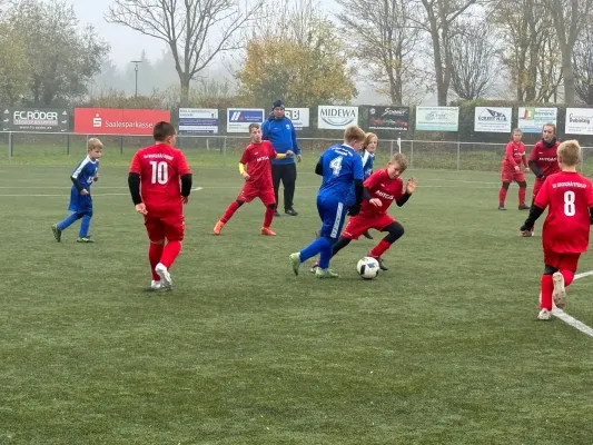 09.11.2024 SV BW Farnstädt vs. SV Großgräfendorf