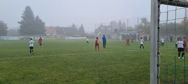 10.11.2024 SV Großgräfendorf II vs. SV 46 Barnstädt