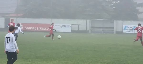 10.11.2024 SV Großgräfendorf II vs. SV 46 Barnstädt