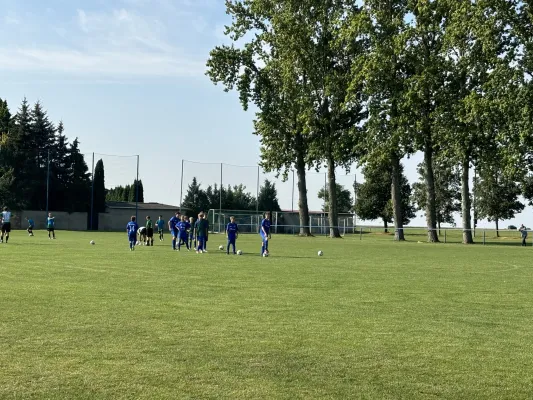 01.09.2024 SV Großgräfendorf vs. SV Merseburg 99 II