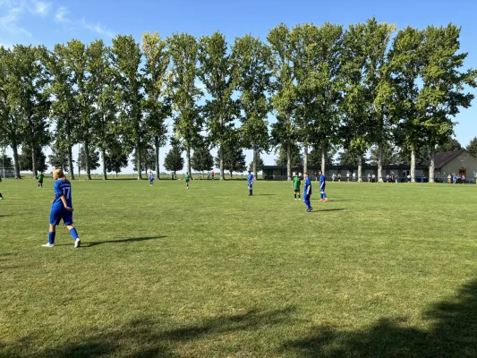 01.09.2024 SV Großgräfendorf vs. SV Merseburg 99 II