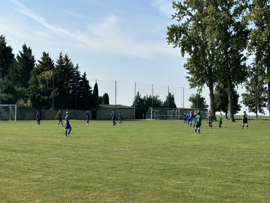 01.09.2024 SV Großgräfendorf vs. SV Merseburg 99 II