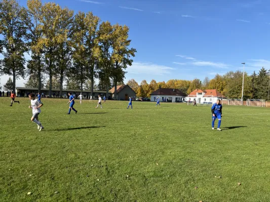 20.10.2024 SV Großgräfendorf vs. SV BW Farnstädt