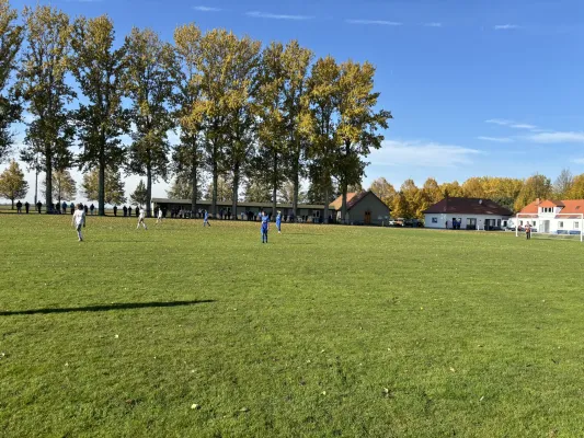 20.10.2024 SV Großgräfendorf vs. SV BW Farnstädt