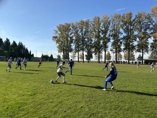 20.10.2024 SV Großgräfendorf vs. SV BW Farnstädt