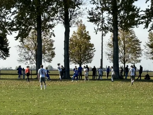 20.10.2024 SV Großgräfendorf vs. SV BW Farnstädt