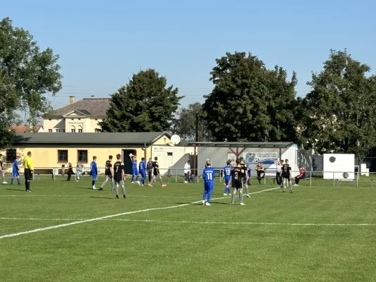 22.09.2024 SG Dölbau 90 vs. SV Großgräfendorf