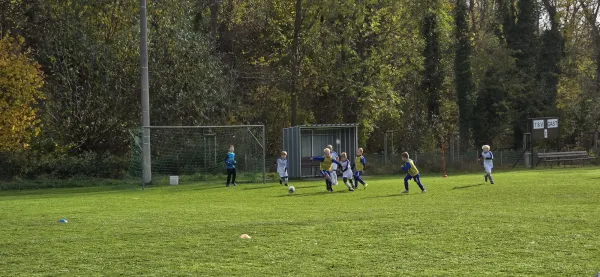 02.11.2024 TSV 1990 Schochwitz vs. SV Großgräfendorf III