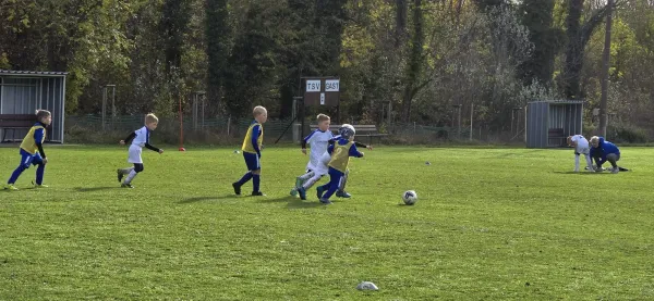 02.11.2024 TSV 1990 Schochwitz vs. SV Großgräfendorf III