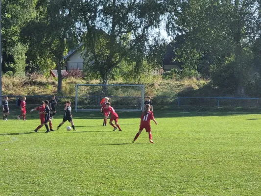 21.09.2024 SV Meuschau vs. SV Großgräfendorf II