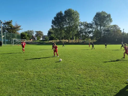 21.09.2024 SV Meuschau vs. SV Großgräfendorf II