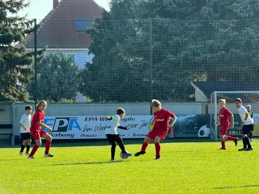 22.09.2024 SV Großgräfendorf vs. SV Meuschau