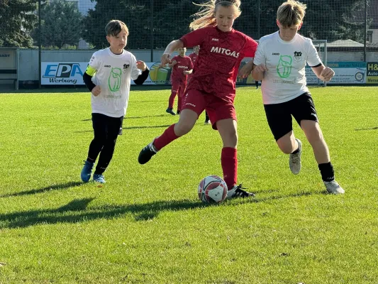 22.09.2024 SV Großgräfendorf vs. SV Meuschau