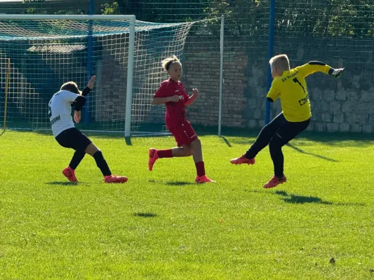 22.09.2024 SV Großgräfendorf vs. SV Meuschau