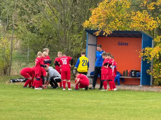 31.10.2024 TSV 1910 Niemberg vs. SV Großgräfendorf