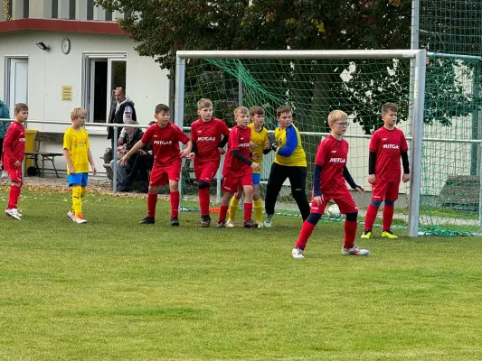 31.10.2024 TSV 1910 Niemberg vs. SV Großgräfendorf