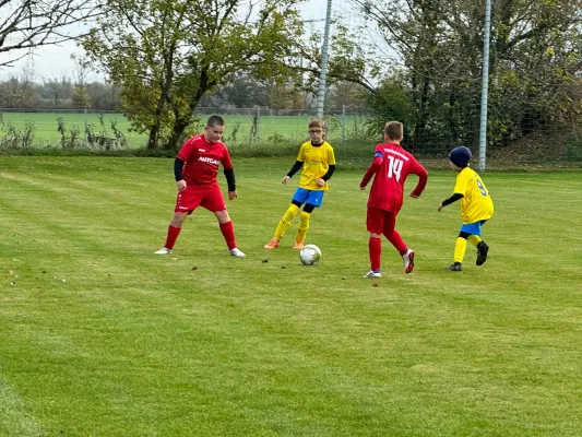 31.10.2024 TSV 1910 Niemberg vs. SV Großgräfendorf