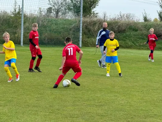 31.10.2024 TSV 1910 Niemberg vs. SV Großgräfendorf