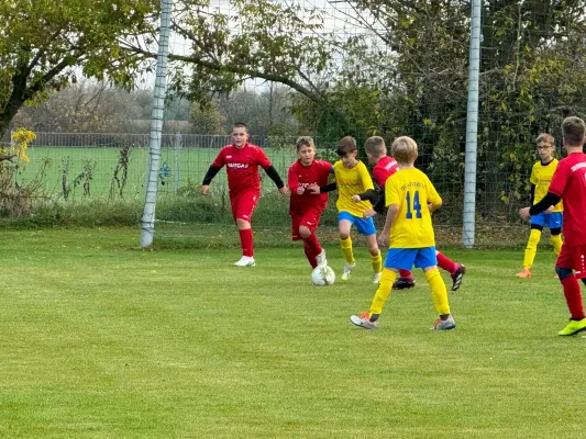 31.10.2024 TSV 1910 Niemberg vs. SV Großgräfendorf