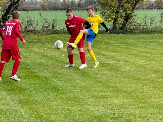 31.10.2024 TSV 1910 Niemberg vs. SV Großgräfendorf