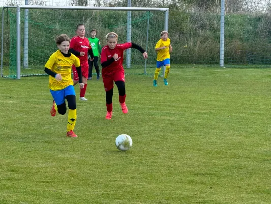 31.10.2024 TSV 1910 Niemberg vs. SV Großgräfendorf